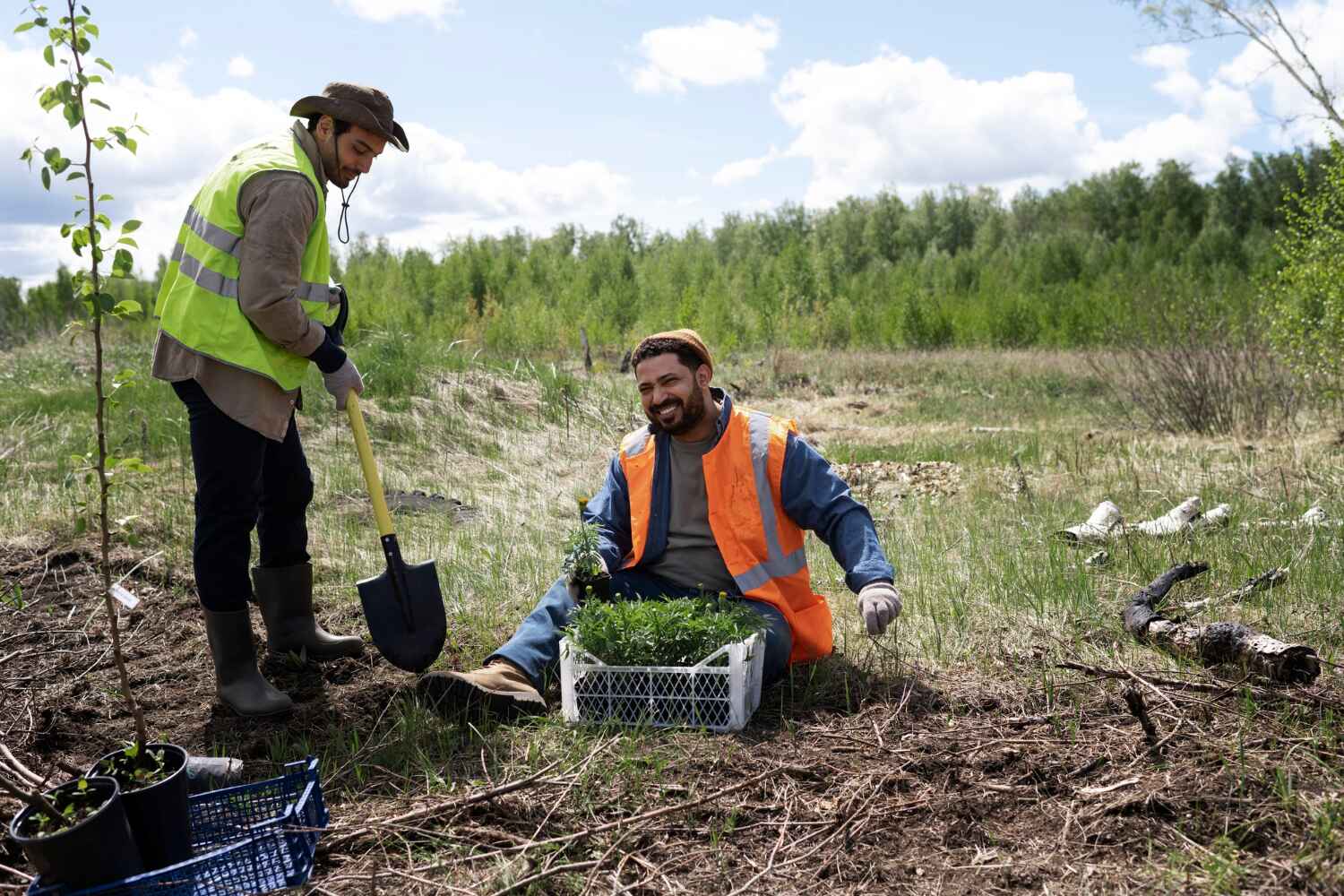 Plummer, ID Tree Service Company